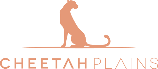 Cheetah Plains logo