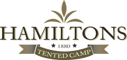 Hamiltons Tented Camp logo