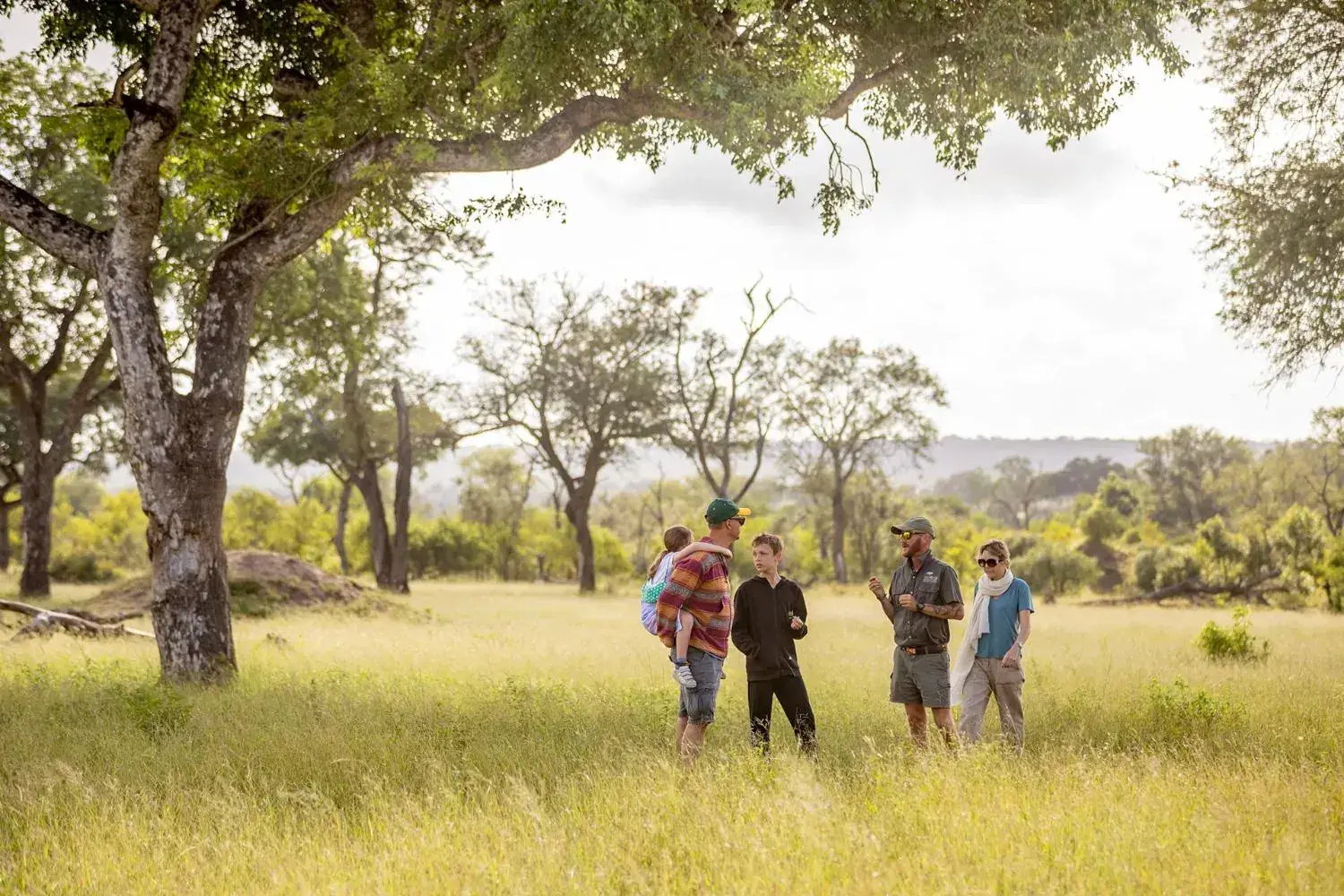 A ranger leading guests on foot across open grassland beneath tall trees